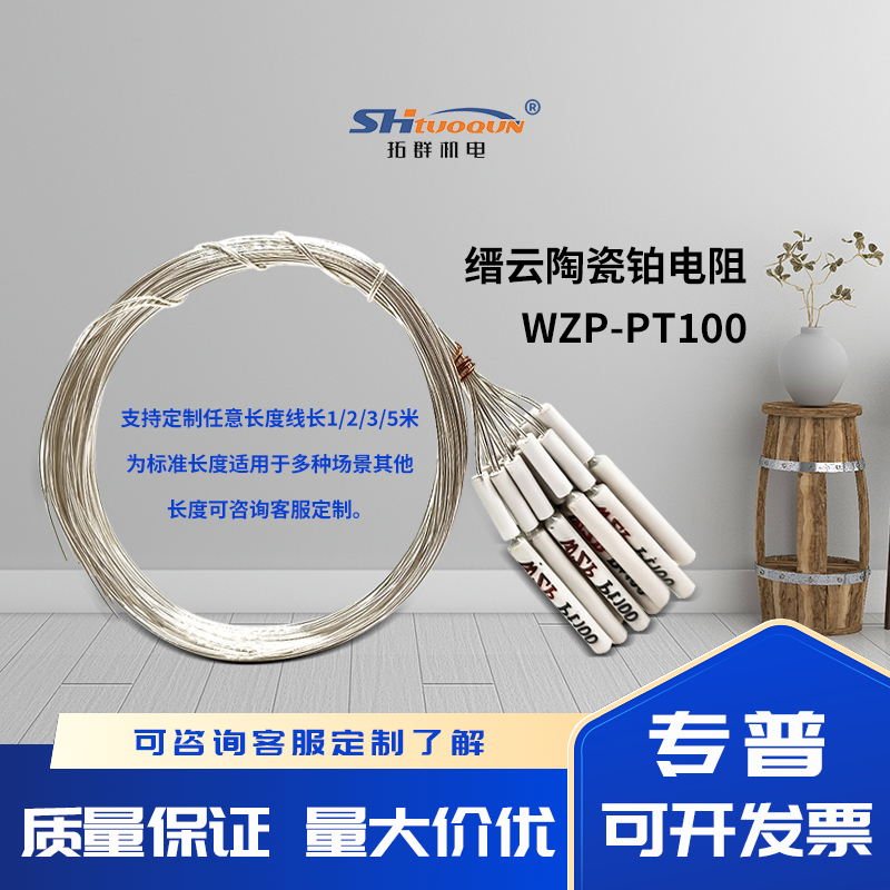 拓群高精度A級(jí)PT100溫度傳感器 鉑電阻 縉云熱電阻陶瓷電阻芯